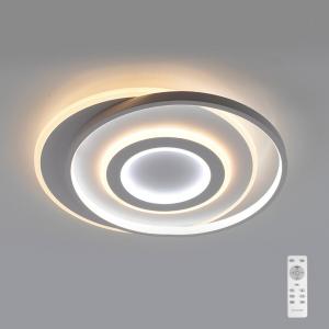 3CCT Circle Ceiling Light