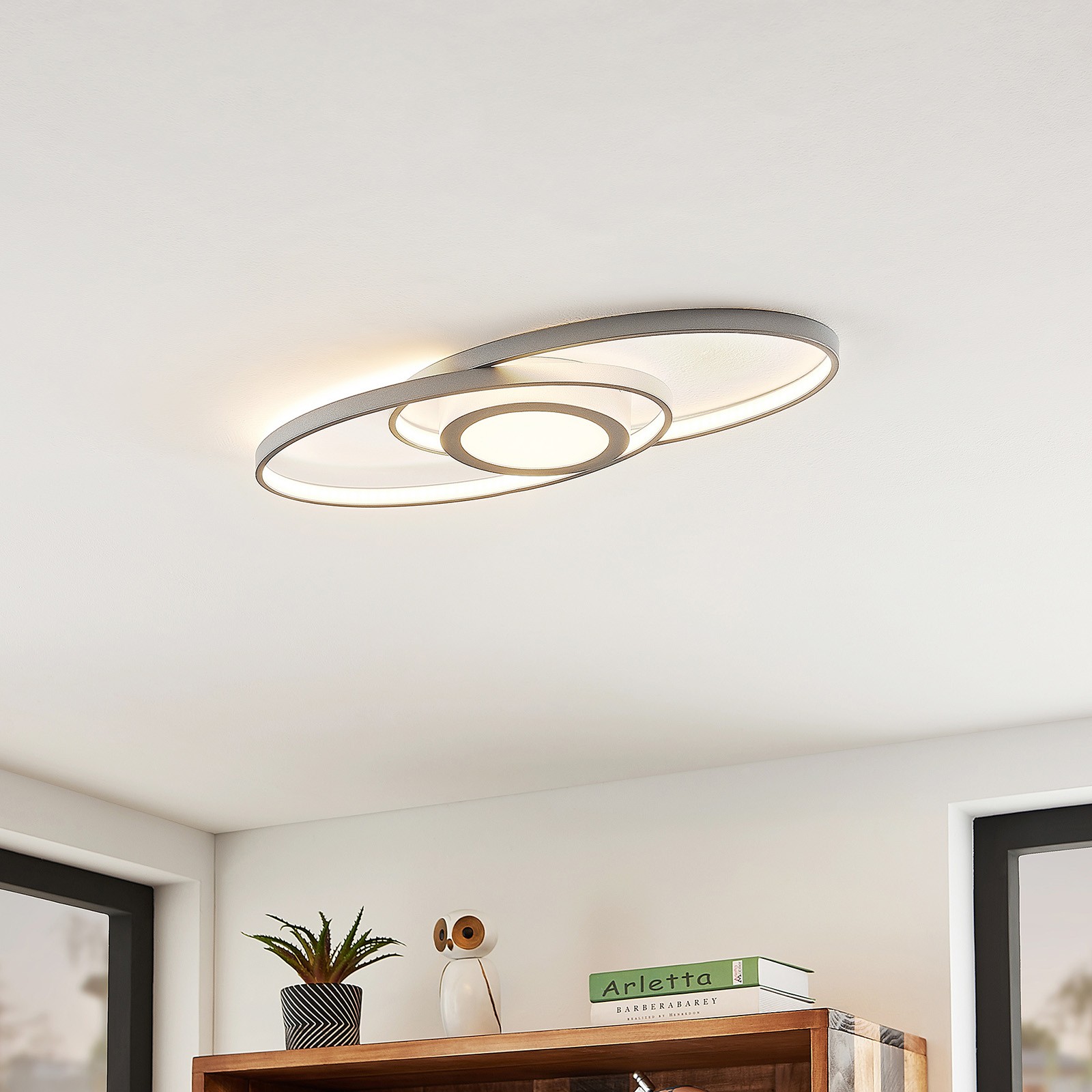 Double circle elliptical ceiling light