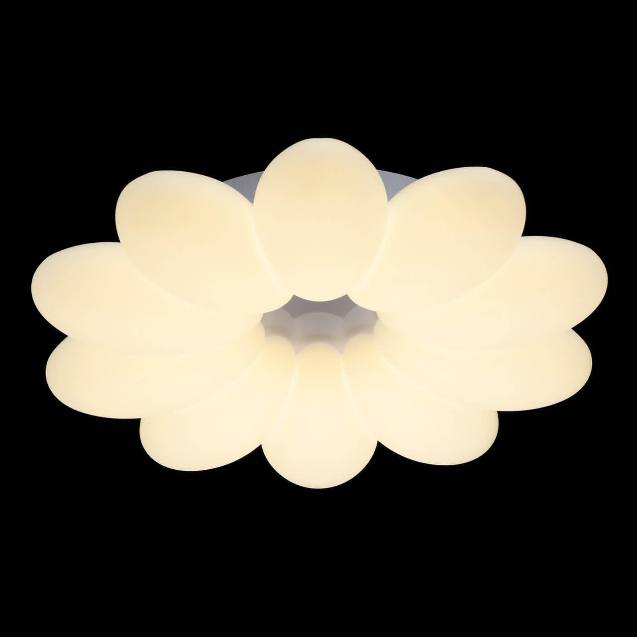 Flower 3CCT-LED Ceiling Light