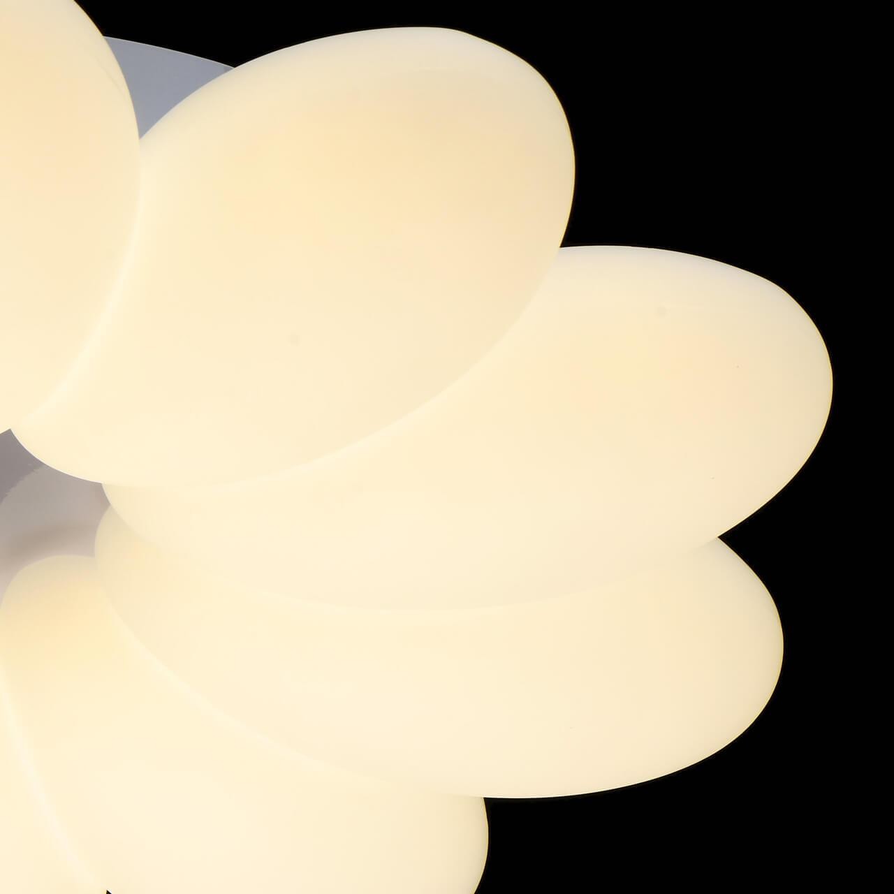 Flower 3CCT-LED Ceiling Light