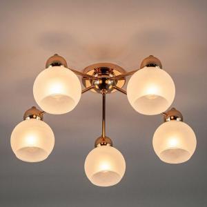 Frosted cream white lampshade ceiling lamp