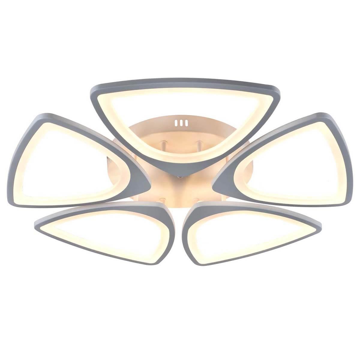 Modern and simple 5-head ceiling lamp