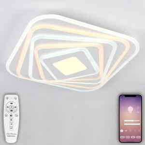 Thickened acrylic ceiling lamp