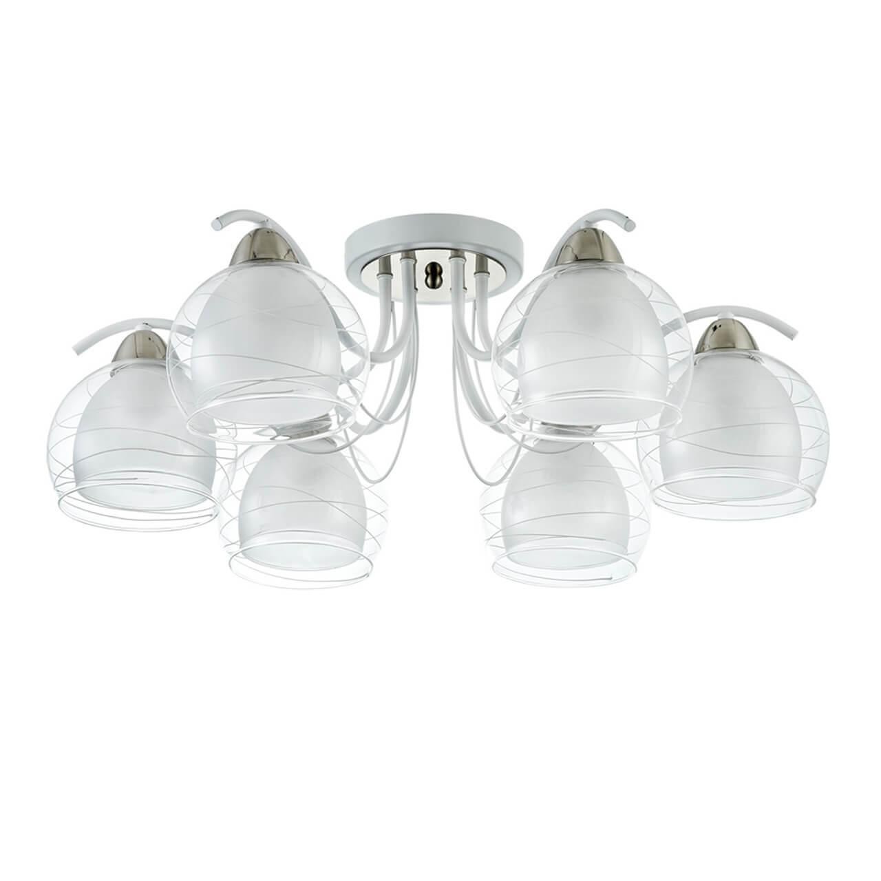 Transparent milky white lampshade ceiling lamp